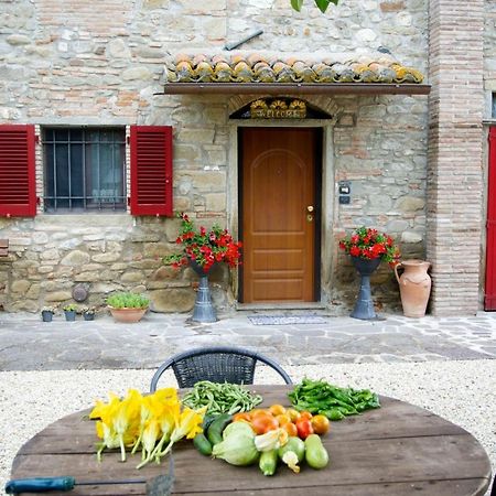 Casa Donella B&B Gricignano 외부 사진